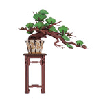 Puzzle 3D Bonsai Pin Veșnic Verde Rolife, copac decorativ din lemn